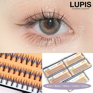 ܂ ACbV p ܂ Zp[g z z܂  i`  Zt ܂GN   v`v LUPIS sX