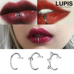 {fBsAX bvsAX sAX tFCNsAX AM[Ή T[WJXeX ςȂOK XpCN {[   lupis sX