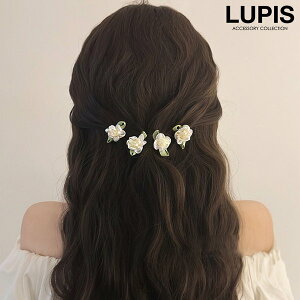 wANbv wAANZT[ 2 Zbg v` ~j  t[ Vv i GKg K[[ ؂₩ wAAW IP[W ؍ ؍ lupis sX  