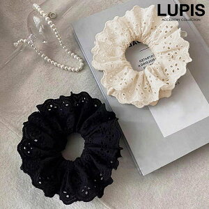 VV wAS wAANZT[ Rbg [X t ؂₩ {[ i tF~j K[[ |j[ Vv ؍ ؍ lupis sX  