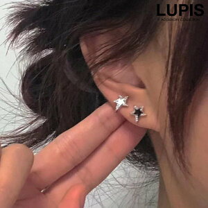 sAX fB[X X^[  LL JWA  ؂₩  |Cg ؍ ؍ lupis sX   v`v