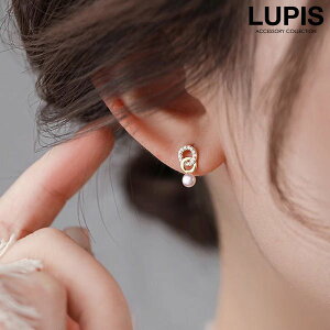 sAX fB[X p[ 40 cCO T[N Vv i GKg ؂₩ l Ԃ ItBX IP[W ؍ ؍ lupis sX v`v  