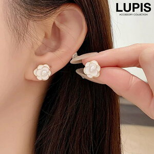 sAX fB[X t[  JA Vv i ؂₩ GKg t`K[[ l IP[W n̓ ؍ ؍ sX   v`v