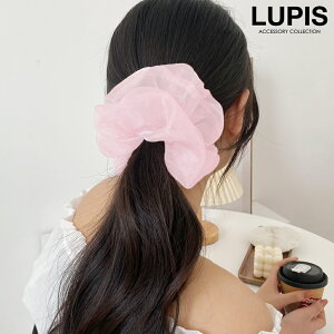 VV wAANZT[ wAS I[KW[ {[ Ԃ VA[  킢   LUPIS sX