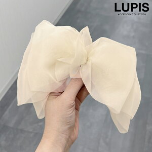 ob^ VtHob^ {ob^ BIG{ wAANZT[ 傫 Ԃ ؍ K[[ ubN x[W  v`v LUPIS sX