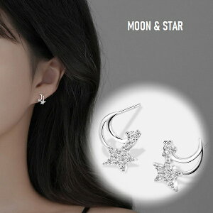 sAX fB[X IV O  i Vo[925 AeB[N  E a LO NX}X ̓ AM[Ή