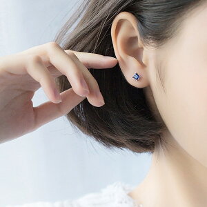 sAX fB[X  lp  u[ i a LO NX}X ̓ e[N ` K18RGP AM[Ή