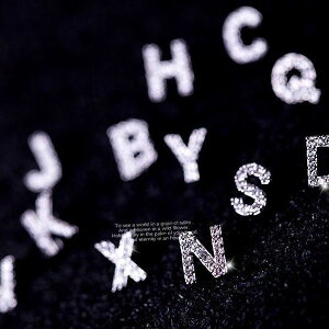 sAX CjV Vo[ SILVER925 tF~jX^Co ޏ  a v[g Mtg NX}X l   AM[Ή