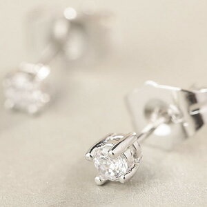 sAX XtXL[ Vo[925 ɏ  ޏ  a NX}X l   AM[ w  Ǝ 