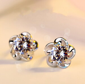 sAX XtXL[ t[ Vo[925 i ޏ  a NX}X l   w  Ǝ  AM[Ή