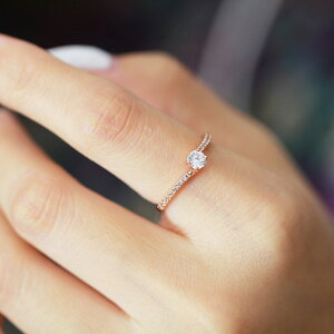 O w fB[X XtXL[ ؚ Vv i Ȑ w a LO NX}X ̓ ` AM[Ή