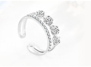 w O KN 2A XtXL[ K18RGP t[TCY ޏ  a v[g Mtg NX}X l   AM[