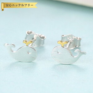 ySi70%OFFN[|!!_t3DAYSZ[!撅500lz sAX p Vo[925 CG[S[h Vo[ X^bh 2Fg  킢 JWA `[t NW ~ zG[ 