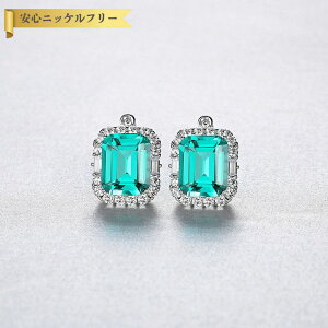 y50%OFFN[|Ώۏi!!Tt[Z[N[|!撅500lz sAX p FORMICA Nanocrystal O[ Vo[925 Vo[ X^bh GhJbg 4{ i GKg l 