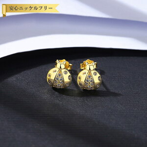 ySi70%OFFN[|!!BLACKFRIDAYXgXp[g3DAYSZ[!撅500lz sAX p zCg Vo[925 CG[S[h X^bh   킢 ꂢ Aj} ĂƂ