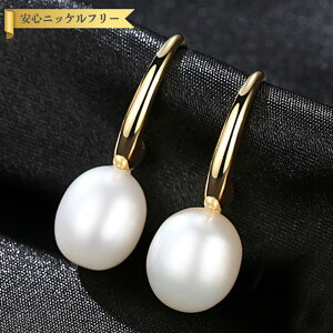 ySi70%OFFN[|!!BLACKFRIDAYXgXp[g3DAYSZ[!撅500lz sAX p Wp[ Vo[925 zCg sN p[v CG[S[h tbN 嗱 ꗱ Vv i 