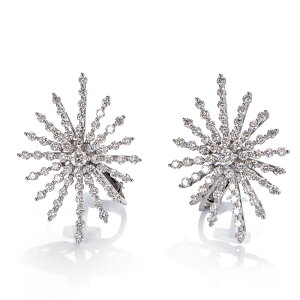 2.20i1.10/1.10jJbgVR_ChzCgS[hCO