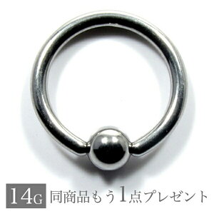 y]̕ɂ1v[gz {fBsAX 14G sAX 14g Y fB[X ςȂ T[WJXeX AM[Ή t[v Ў  sAX Lb` Lve