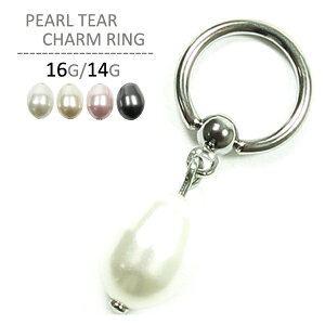 {fBsAX 14G sAX 16G fB[X Y T[WJXeX AM[Ή Ўp  sAX h Lb` p[ `[ LveBu O {fB[sAX