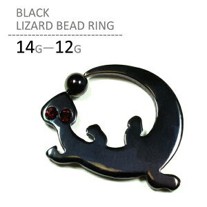 {fBsAX 14G-12G sAX fB[X Y ςȂ T[WJXeX Lb` AM[Ή t[v Ўp  sAX ubN U[h r[YO ZJh