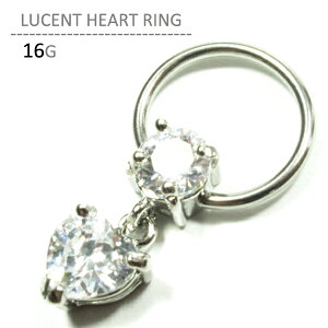 {fBsAX 16G sAX 16g fB[X Y T[WJXeX AM[Ή Ўp  sAX h Lb` LveBu n[g r[YO {fB[sAX