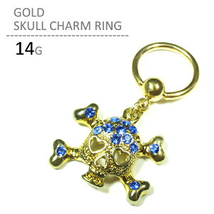 {fBsAX 14G sAX 14g fB[X Y T[WJXeX AM[Ή Ўp  sAX Lb` h S[h XJ `[ LveBu O {fB[