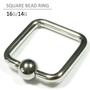 XNGAr[YO {fBsAX 14G sAX 16G gKX wbNX sAX Vo[ ςȂ T[WJXeX Lb` AM[Ή Ў  sAX ό` l