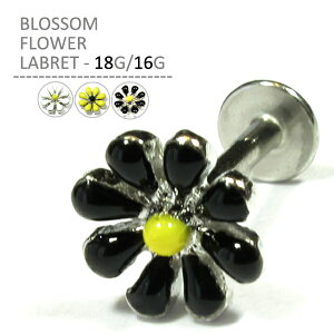 {fBsAX ubTt[ubg 18G 16G CG[ zCg ubN T[WJXeX  Ԃт fCW[ 킢 sAX wbNX sAX