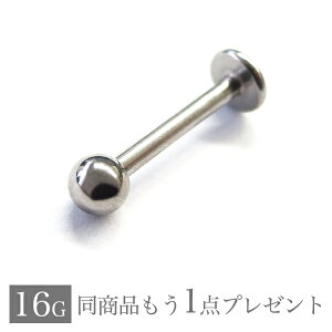 {fBsAX 16G ubgX^bh sAX wbNX p sAX gKX Iׂ Vo[ Z~I[_[ Vv Y fB[X 316L T[WJ XeX AM[ 