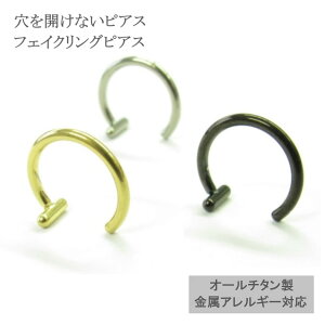 yȂsAXz`^ sAX t[v `^tFCNO 20G 18G mz[sAX S[h Vo[ ubN KтȂ tFCNsAX sAX OsAX sAX @sA