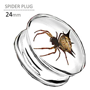 XpC_[vO 24mm {fBsAX {fB[sAX gKX wbNX [Wz[ g vO ACbg sAX sAX v[g  w w N   sAbVO 