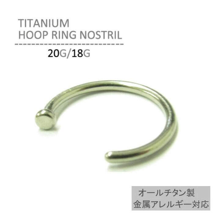 Titanium Nose Ring