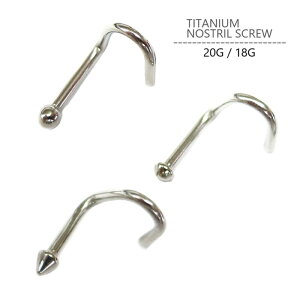 @sAX `^ 20G 18G {fBsAX G23`^mXg XN[ {fB[sAX titan @s titanium AM[Ή KтȂ y Vv Vo[ Y fB[X ς