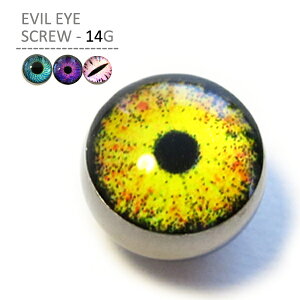 {fBsAX ڋ {fBsAXp[c Lb` C[rACXN[ 14Q[Wp {fB[sAX sAX sAX sAX sAX {[ XeX p XyA nEB 