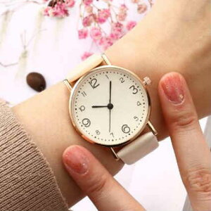 rv fB[X    킢 v[g ʋ Jewel WG