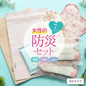 防災セット 女性用 ［女性のための防災セット 日本製 メール便送無］防災グッズ 中身だけ 生理用品 （使い捨て布ナプキン/ウェットシート/チャック付き防臭袋/おりものライナー/布ナプキン）サニタリー サニタリー袋 1人用 災害グッズ