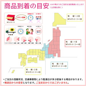 布製【消臭!軽失禁パッド★3枚セット★】さらさら吸水で快適!水分ケアに!15cc対応軽い尿モレ対策肌面シルクニットの布ナプキンメール便送料無料軽失禁用品