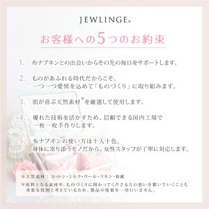 布製【消臭!軽失禁パッド★3枚セット★】さらさら吸水で快適!水分ケアに!15cc対応軽い尿モレ対策肌面シルクニットの布ナプキンメール便送料無料軽失禁用品