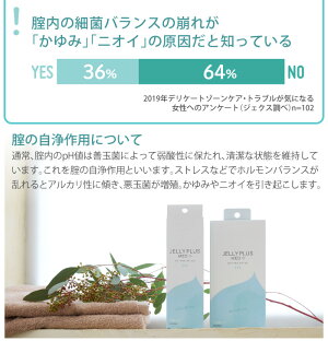 ジェクスゼリープラスメディカル2g×10本入女性用腟洗浄器日本製デリケートゾーン用【HLS_DU】