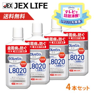 yőP10{(10/30`11/3)zL8020_ NbVEX pt̃n~KL(f^X) 280mL×4{y򕔊OizyEۍܕsgpzyAbv~gzyzmAR[ WFN