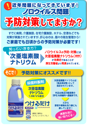 【訳ありアウトレット】【6本+タブレット】哺乳びん用洗剤つけ置き洗浄液哺乳瓶消毒(洗剤)チュチュベビーつけるだけ1100mlボトル6本+タブレット24錠【HLS_DUP08Apr16】