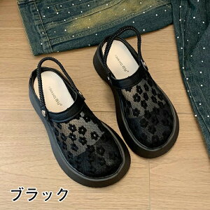 Xb| EGbW\[ C T_ ~[ Xbp Xb| ƂȂ fB[X Cq[ I[vgD q[5cm ₷ ɂ r JWA 