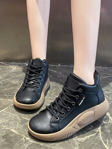 Xj[J[ Xb| nCJbgXj[J[ fB[X V[Y C u[c EH[LOXj[J[  L y  킢 EH[LO ₷ W ₷