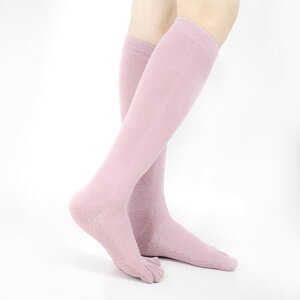 K\bNX 5{w O \bNX 2Zbg nC\bNX w 悪 fB[X ~ Ȃ KC H~ KEGA seBX  K z ~  g[j