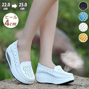 JVV[Y V[Y  T}[V[Y fB[X [t@[V[Y V[Y C hCrOV[Y Xb| JV Xb| RȂ i 