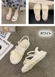  T_ X|[cT_ r[`T_ EH[LOV[Y ₷ _炩 ₷ y ʋC Vv q[5cm Xgbv JWA ӂӂ 킢 