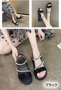  T_ X|[cT_ r[`T_ EH[LOV[Y ₷ _炩 ₷ y ʋC Vv q[5cm Xgbv JWA ӂӂ 킢 