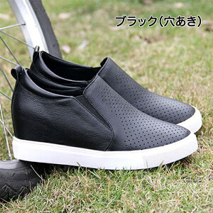 Xj[J[ Xj[J[C\[  Xj[J[ Cq[Xj[J[ 6.5cm r U[ ʋC i JWA JWA   ₷ v NbV [Jbg 