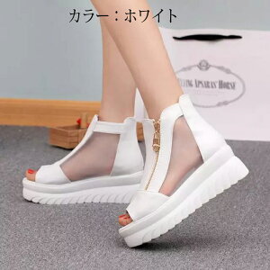 u[c fB[X C C V[Y y T_  V[g 4cmq[ EFbW\[ fB[XC Cq[Xj[J[ fB[XT_ V[gu[c ₷ r