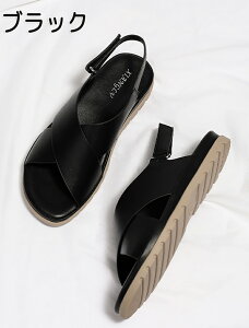 ItBXT_ i[XT_ i[XV[Y NXC ItBXV[Y obNoh T}[V[Y fB[X ɂ y É  r  d d  